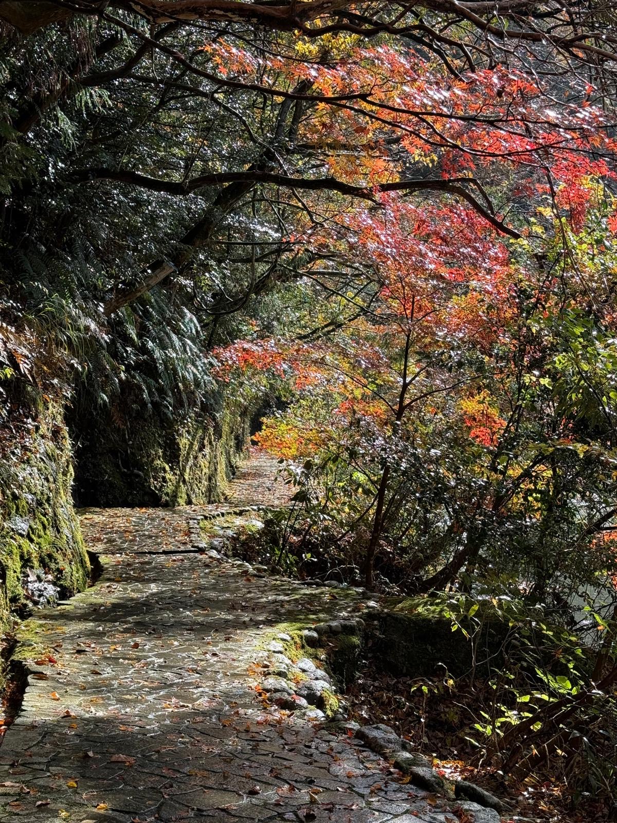 0761FA99-02FD-441E-8687-D7E17EDCCFF9